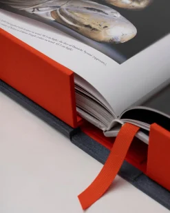 Koyasan: Senju's Works of Art 1,200 Years After Kūkai^ASSOULINE Online
