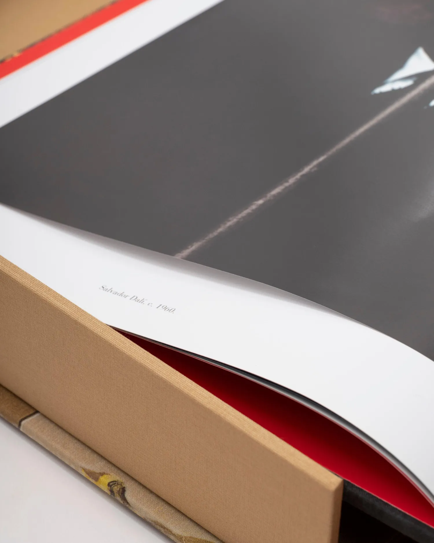Salvador Dalí: The Impossible Collection^ASSOULINE Outlet