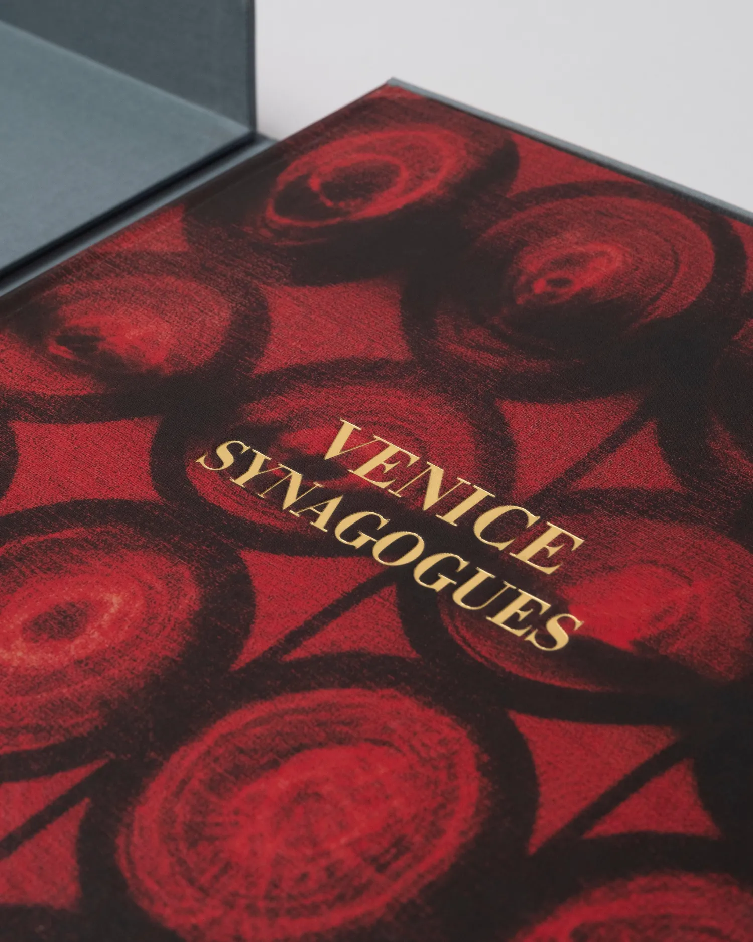 Venice Synagogues^ASSOULINE Online